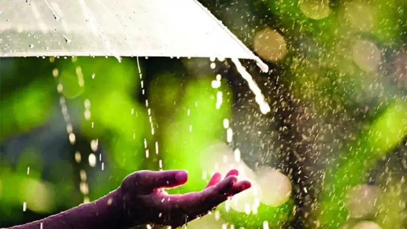 বর্ষায় স্বাস্থ্য সচেতনতা ও সতর্কতা