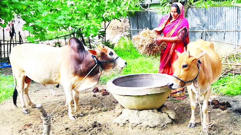 পশুর প্রতি যত্নশীলতা পশুর প্রতি যত্নশীলতা