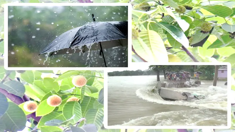 আবার এসেছে আষাঢ় আবার এসেছে আষাঢ়