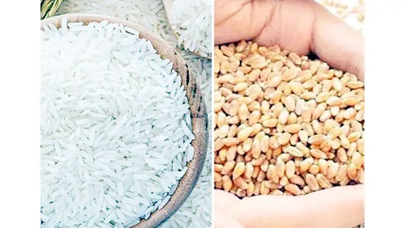 চাল-গম আমদানির প্রয়োজন কেন চাল-গম আমদানির প্রয়োজন কেন