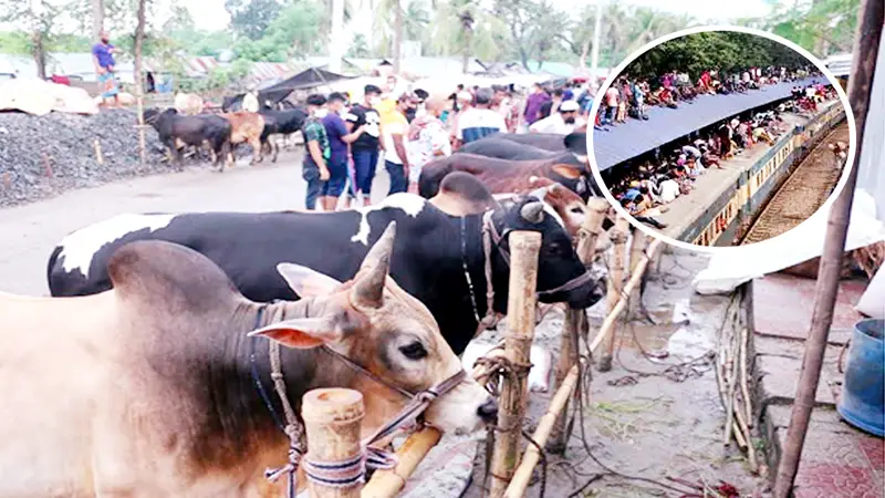 উৎসবপ্রিয় জাতির মিলনযজ্ঞ উৎসবপ্রিয় জাতির মিলনযজ্ঞ