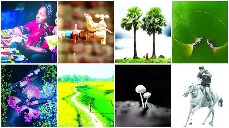 বানভাসিদের জন্য নবোদ্যম ফাউন্ডেশনের ছবি প্রদর্শনী বানভাসিদের জন্য নবোদ্যম ফাউন্ডেশনের ছবি প্রদর্শনী