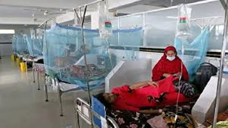 চোখ রাঙাচ্ছে ডেঙ্গু, মৃত্যু ৩ চোখ রাঙাচ্ছে ডেঙ্গু, মৃত্যু ৩