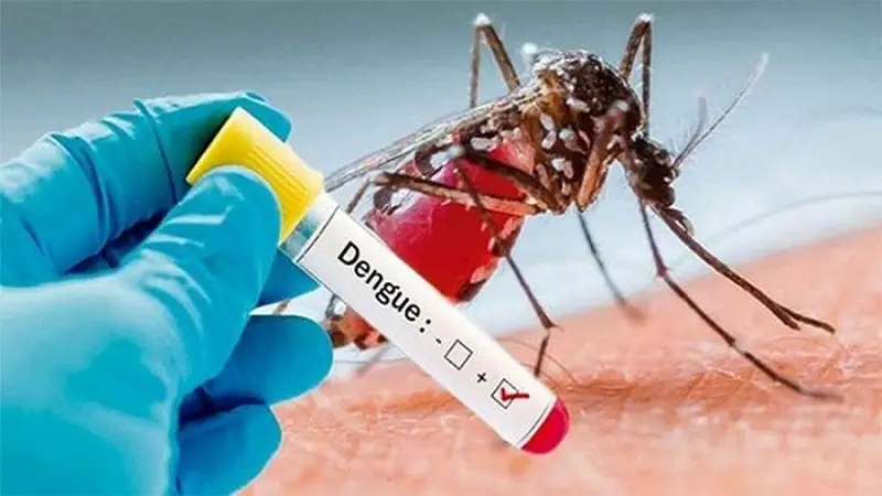 ডেঙ্গুতে আক্রান্ত ১৯ হাজার ছাড়ালো ডেঙ্গুতে আক্রান্ত ১৯ হাজার ছাড়ালো
