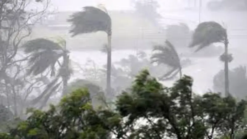 দেশের চার বিভাগে বজ্রসহ বৃষ্টির আভাস, ৬০ কিমি বেগে ঝোড়ো হাওয়ার সতর্কতা দেশের চার বিভাগে বজ্রসহ বৃষ্টির আভাস, ৬০ কিমি বেগে ঝোড়ো হাওয়ার সতর্কতা