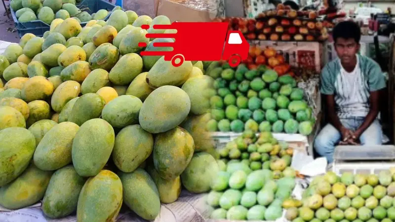 ১২ টাকায় এক ক্লিকে ’রাজশাহীর আম’ ঢাকায় ১২ টাকায় এক ক্লিকে ’রাজশাহীর আম’ ঢাকায়
