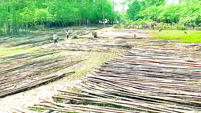 শতাব্দী প্রাচীন গ্রামীণ বাঁশের হাট শতাব্দী প্রাচীন গ্রামীণ বাঁশের হাট