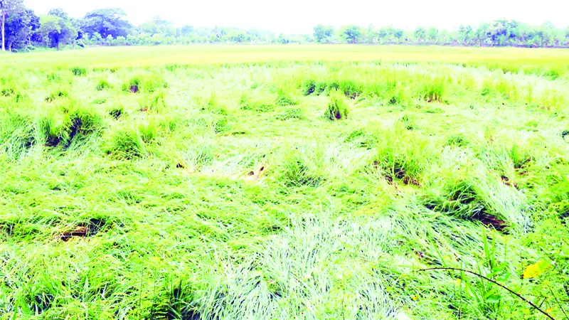 পানির উষ্ণতা বেশি থাকায় অক্টোবর-ডিসেম্বরেও ঘূর্ণিঝড় হচ্ছে পানির উষ্ণতা বেশি থাকায় অক্টোবর-ডিসেম্বরেও ঘূর্ণিঝড় হচ্ছে