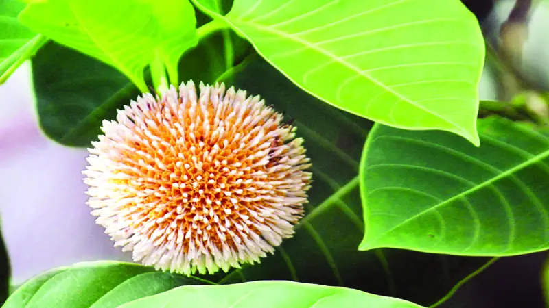 আকাশ ছেয়ে বৃষ্টির রিমঝিম শব্দে পুলকিত হবে মন আকাশ ছেয়ে বৃষ্টির রিমঝিম শব্দে পুলকিত হবে মন