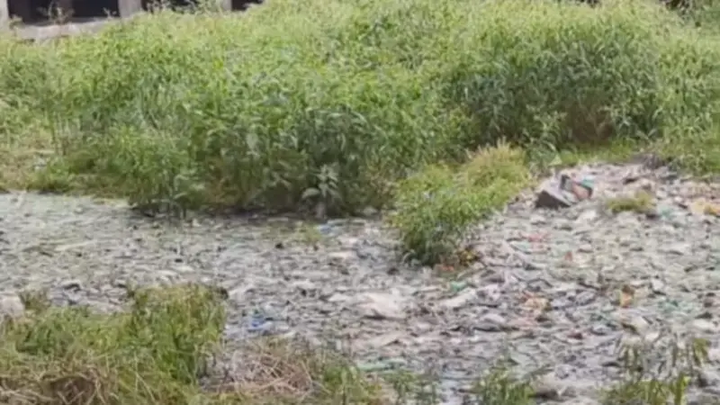 রামগঞ্জে বীরেন্দ্র খাল খনন না হলে আবারও বন্যার আশঙ্কায় কয়েক লাখ মানুষ রামগঞ্জে বীরেন্দ্র খাল খনন না হলে আবারও বন্যার আশঙ্কায় কয়েক লাখ মানুষ