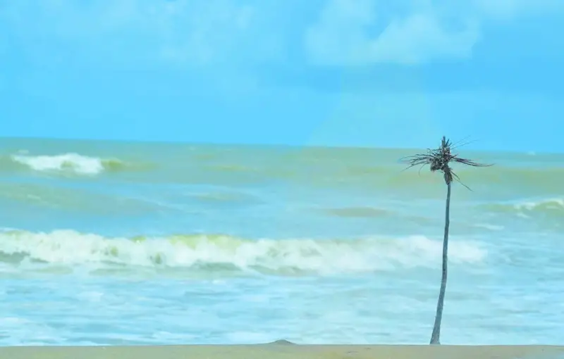 সাগরের নিরুত্তর নীলতা—সৌন্দর্য কাউকে হাসায়, কাউকে কাঁদায় সাগরের নিরুত্তর নীলতা—সৌন্দর্য কাউকে হাসায়, কাউকে কাঁদায়