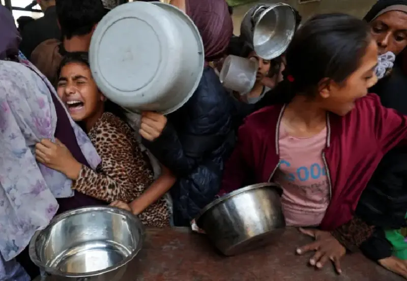 মাত্র ৯০টি সহায়তা ট্রাক, অথচ গাজার প্রয়োজন হাজারেরও বেশি মাত্র ৯০টি সহায়তা ট্রাক, অথচ গাজার প্রয়োজন হাজারেরও বেশি