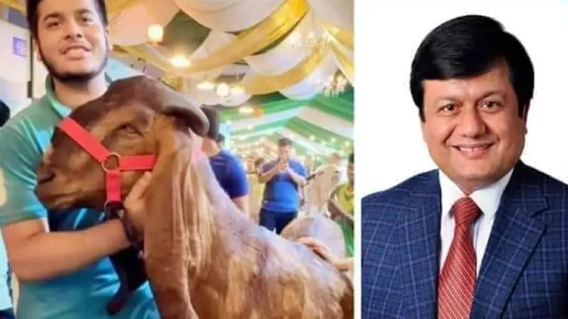 ১৫ লাখে ছাগল কিনা ইফাত আমার ছেলে না: রাজস্ব কর্মকর্তা মতিউর রহমান ১৫ লাখে ছাগল কিনা ইফাত আমার ছেলে না: রাজস্ব কর্মকর্তা মতিউর রহমান