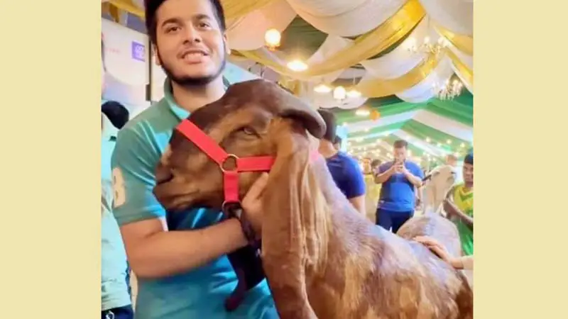 ছাগলকাণ্ড নিয়ে যা বললেন ওই যুবক ছাগলকাণ্ড নিয়ে যা বললেন ওই যুবক