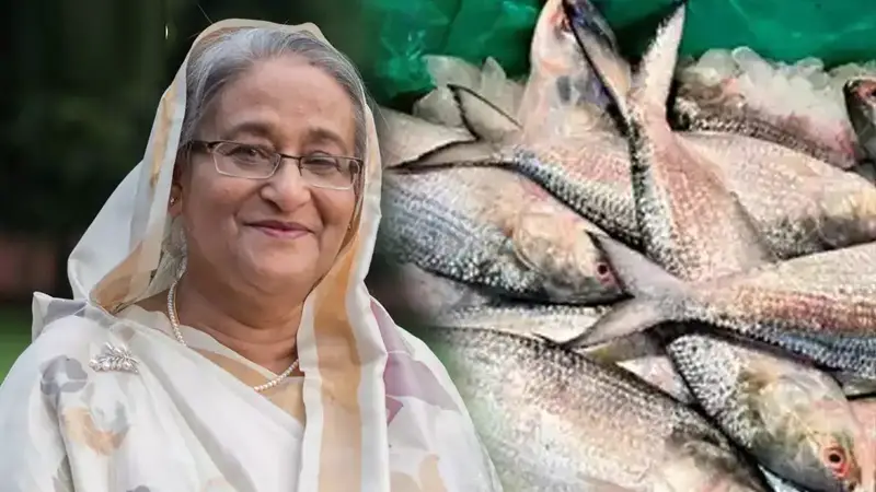 হাসিনার ভারতপ্রেম: নিষেধাজ্ঞা সত্ত্বেও দিতেন ইলিশ হাসিনার ভারতপ্রেম: নিষেধাজ্ঞা সত্ত্বেও দিতেন ইলিশ