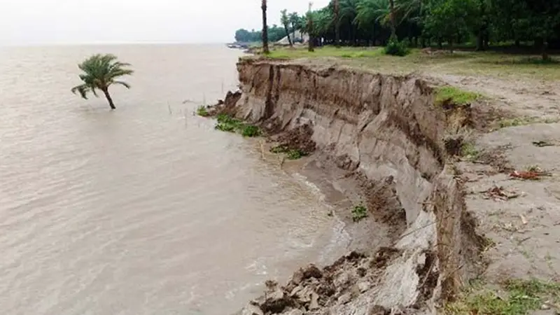 পদ্মার ভাঙন যেন অভিশাপ পদ্মার ভাঙন যেন অভিশাপ