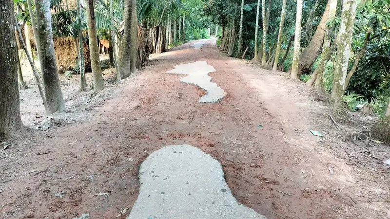 লালমোহনে শত কিলোমিটার বেহাল সড়কে চরম ভোগান্তি লালমোহনে শত কিলোমিটার বেহাল সড়কে চরম ভোগান্তি