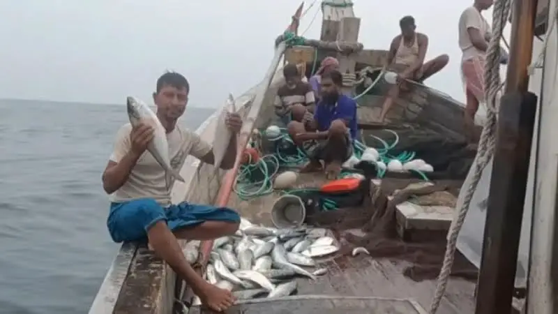 ভোলার নদনদীতে কাঙ্ক্ষিত ইলিশ না পেলেও প্রচুর ইলিশ ধরা পড়ছে সাগরে ভোলার নদনদীতে কাঙ্ক্ষিত ইলিশ না পেলেও প্রচুর ইলিশ ধরা পড়ছে সাগরে