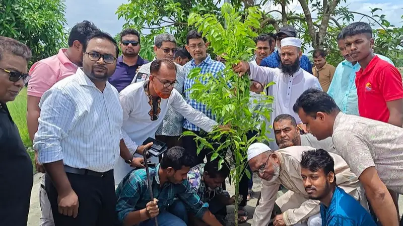 বাগেরহাটে বিএনপির সপ্তাহব্যাপী বৃক্ষ রোপণ শুরু বাগেরহাটে বিএনপির সপ্তাহব্যাপী বৃক্ষ রোপণ শুরু