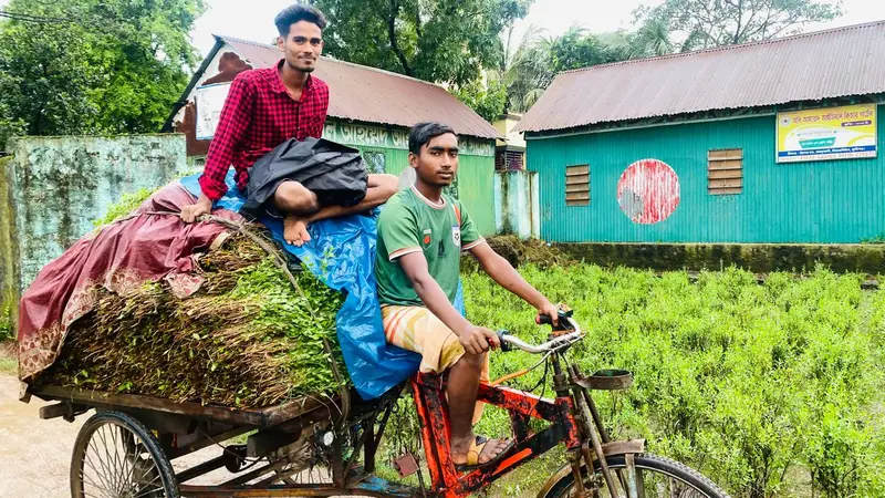 কোরবানির ঈদে ঢাকার অলিগলিতে বিক্রি হচ্ছে চান্দের চরের মেহেদি! কোরবানির ঈদে ঢাকার অলিগলিতে বিক্রি হচ্ছে চান্দের চরের মেহেদি!