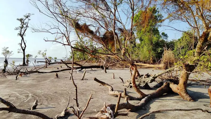পটুয়াখালীর প্রাকৃতিক স্বর্গ ‘লেবুর চর’ পটুয়াখালীর প্রাকৃতিক স্বর্গ ‘লেবুর চর’