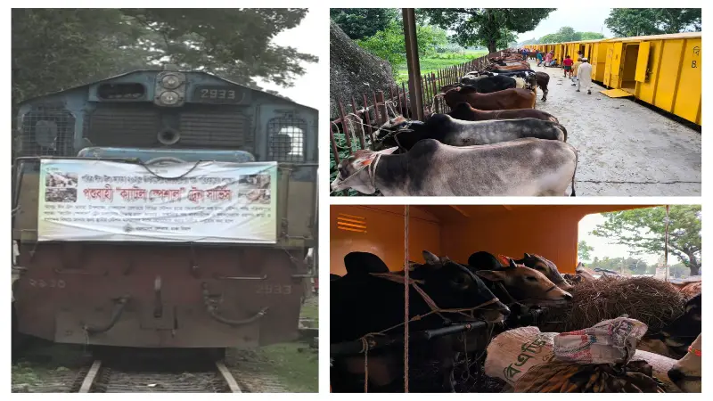 জামালপুর থেকে ছাড়ছে পশুবাহী ক্যাটল স্পেশাল ট্রেন জামালপুর থেকে ছাড়ছে পশুবাহী ক্যাটল স্পেশাল ট্রেন