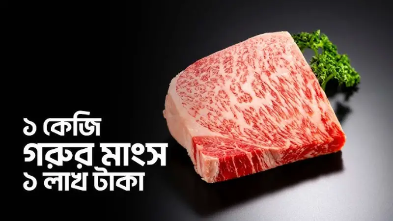 দেখে নিন বিশ্বের সবচেয়ে দামি গরুর মাংসের রহস্য