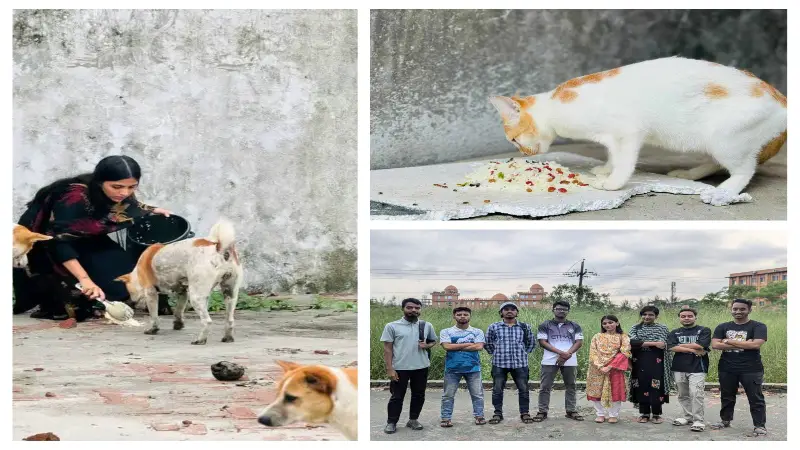 বন্ধ ক্যাম্পাসে নির্বাক প্রাণীদের পাশে দাঁড়িয়েছে ববি’র শিক্ষার্থীরা বন্ধ ক্যাম্পাসে নির্বাক প্রাণীদের পাশে দাঁড়িয়েছে ববি’র শিক্ষার্থীরা