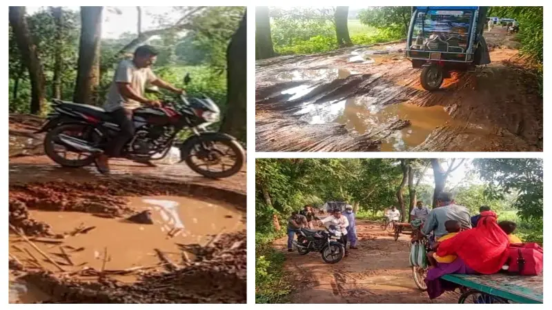 মরনফাঁদে পরিণত রাজবাড়ীর মদাপুর-রামদিয়া সড়ক, জনদুর্ভোগ চরমে মরনফাঁদে পরিণত রাজবাড়ীর মদাপুর-রামদিয়া সড়ক, জনদুর্ভোগ চরমে