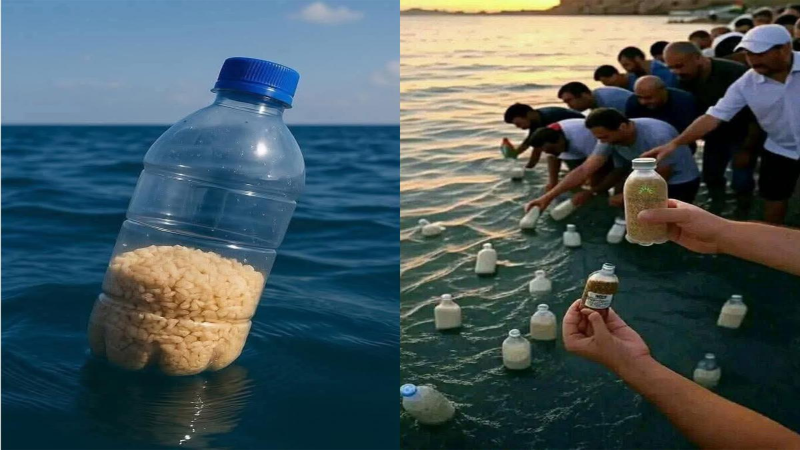 গাজায় পৌঁছাল বোতলভরা খাবার, ‘আল্লাহু আকবর’ ধ্বনিতে কেঁপে উঠল উপত্যকা গাজায় পৌঁছাল বোতলভরা খাবার, ‘আল্লাহু আকবর’ ধ্বনিতে কেঁপে উঠল উপত্যকা