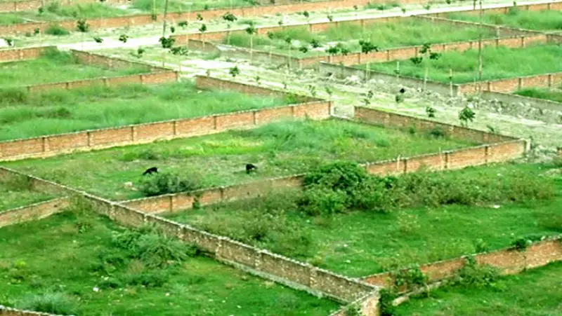 জমির খোঁজ না রাখলে হারাতে পারেন মালিকানা-জেনে নিন কী করণীয় জমির খোঁজ না রাখলে হারাতে পারেন মালিকানা-জেনে নিন কী করণীয়