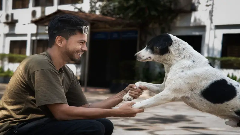 প্রাণী কল্যাণের নতুন আলো ThinThin Paw Care Foundation প্রাণী কল্যাণের নতুন আলো ThinThin Paw Care Foundation