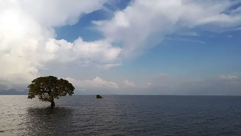 করিমগঞ্জে শামুক কুড়াতে গিয়ে হাওড়ের পানিতে ডুবে বৃদ্ধের মৃত্যু করিমগঞ্জে শামুক কুড়াতে গিয়ে হাওড়ের পানিতে ডুবে বৃদ্ধের মৃত্যু