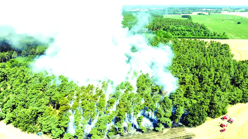 এশিয়ায় বৃষ্টি-বন্যা, ইউরোপে দাবানল