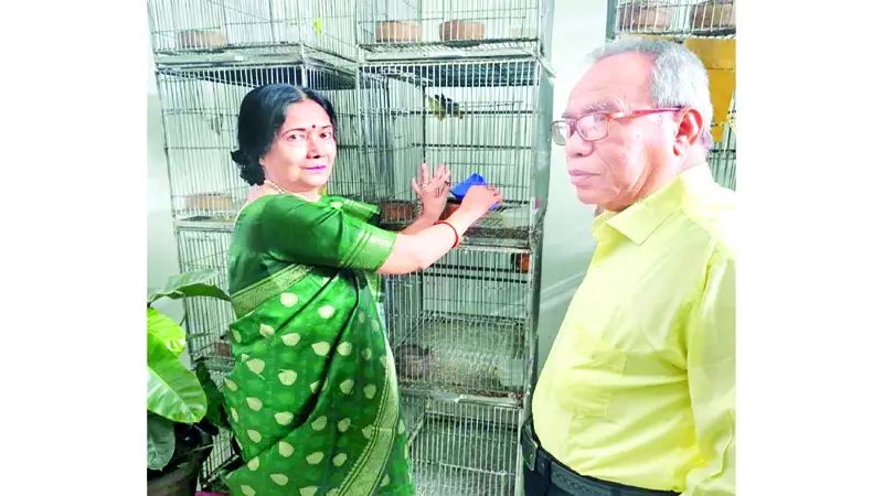 বৃদ্ধ বয়সের সঙ্গী পাখি বৃদ্ধ বয়সের সঙ্গী পাখি