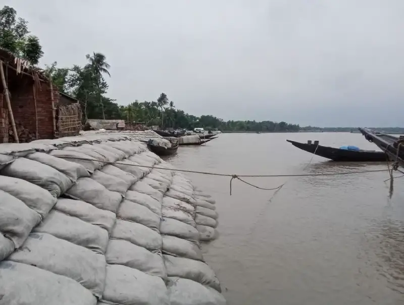 পাইকগাছার রাড়ুলীতে একটিমাত্র বেড়িবাঁধ বদলে দিয়েছে জেলে পল্লীর জীবনচিত্র পাইকগাছার রাড়ুলীতে একটিমাত্র বেড়িবাঁধ বদলে দিয়েছে জেলে পল্লীর জীবনচিত্র