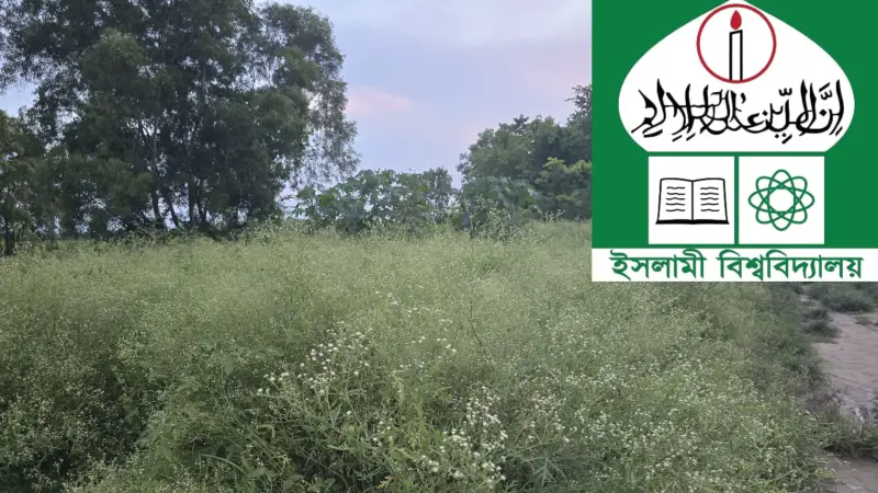 ইবিতে ছড়িয়ে পড়ছে বিষাক্ত পার্থেনিয়াম ইবিতে ছড়িয়ে পড়ছে বিষাক্ত পার্থেনিয়াম
