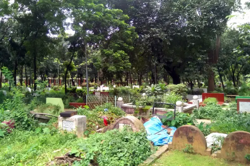 কবরের পাশে ফুল গাছ লাগানো জায়েজ কিনা—ইসলামের নির্দেশনা কী বলছে? কবরের পাশে ফুল গাছ লাগানো জায়েজ কিনা—ইসলামের নির্দেশনা কী বলছে?