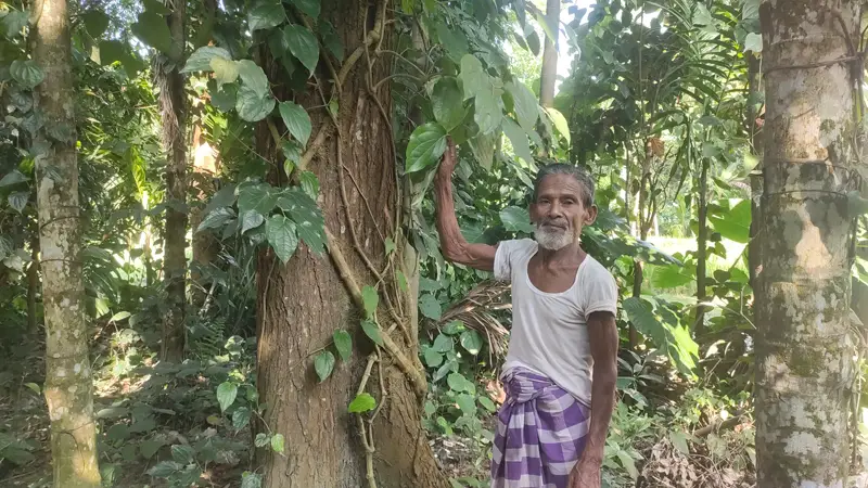 মসলা জাতীয় উদ্ভিদ চুইঝাল চাষে কুড়িগ্রামের কৃষকদের ব্যপক আগ্রহ বাড়ছে মসলা জাতীয় উদ্ভিদ চুইঝাল চাষে কুড়িগ্রামের কৃষকদের ব্যপক আগ্রহ বাড়ছে