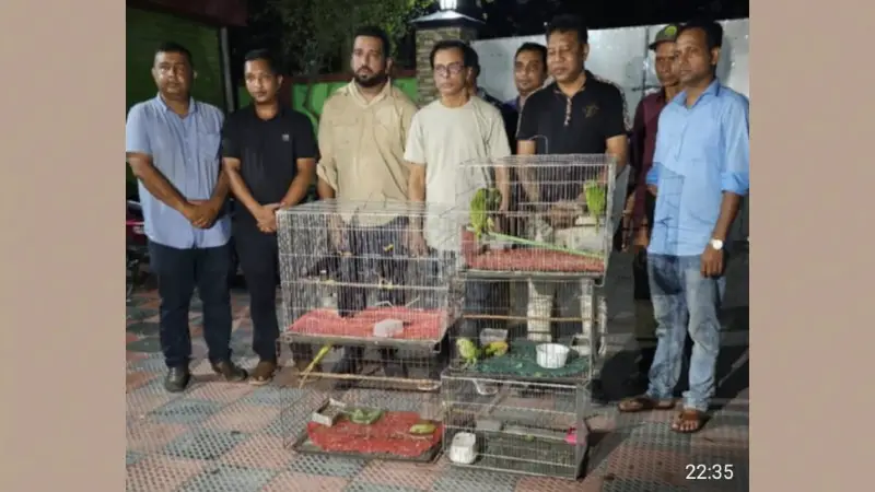 কুষ্টিয়ায় দুই দফায় ১৭ টি দেশী পাখি উদ্ধার ১২টি পাখি হস্তান্তর 