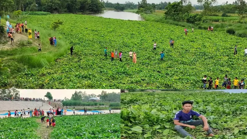 নীলফামারীর কচুকাটায় কচুরিপানার ওপর দিয়ে হেঁটে নদী পারাপার- সর্তকতা মানছে না কেউ! নীলফামারীর কচুকাটায় কচুরিপানার ওপর দিয়ে হেঁটে নদী পারাপার- সর্তকতা মানছে না কেউ!