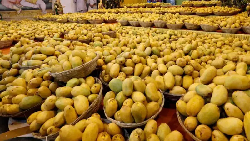 যুক্তরাষ্ট্র বাতিল করল ভারত থেকে আসা ১৫টি আমের চালান যুক্তরাষ্ট্র বাতিল করল ভারত থেকে আসা ১৫টি আমের চালান