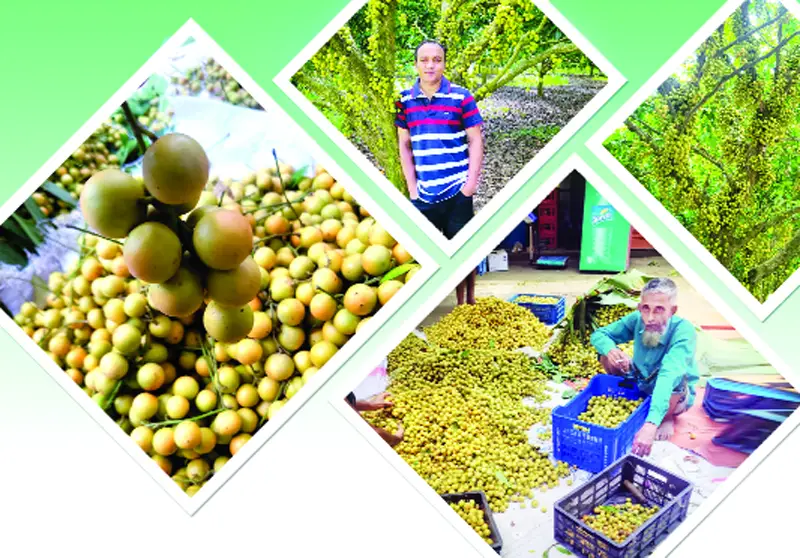টক-মিষ্টি লটকন টক-মিষ্টি লটকন