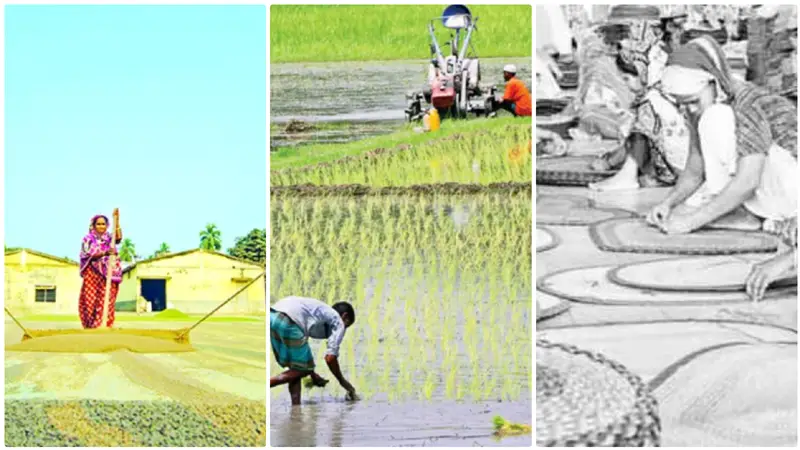 গ্রামীণ অর্থনীতি বাংলাদেশের উন্নয়নের মূল ভিত্তি গ্রামীণ অর্থনীতি বাংলাদেশের উন্নয়নের মূল ভিত্তি