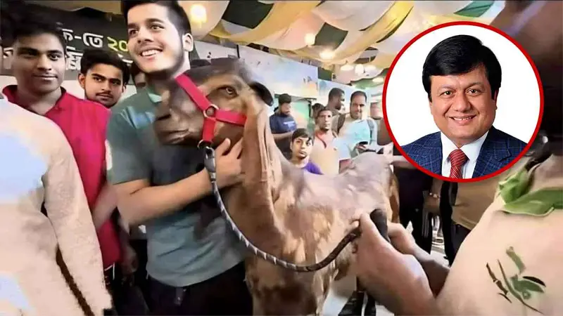 এক ছাগলেই ধ্বংস করলো মতিউরের সাজানো সাম্রাজ্য! এক ছাগলেই ধ্বংস করলো মতিউরের সাজানো সাম্রাজ্য!