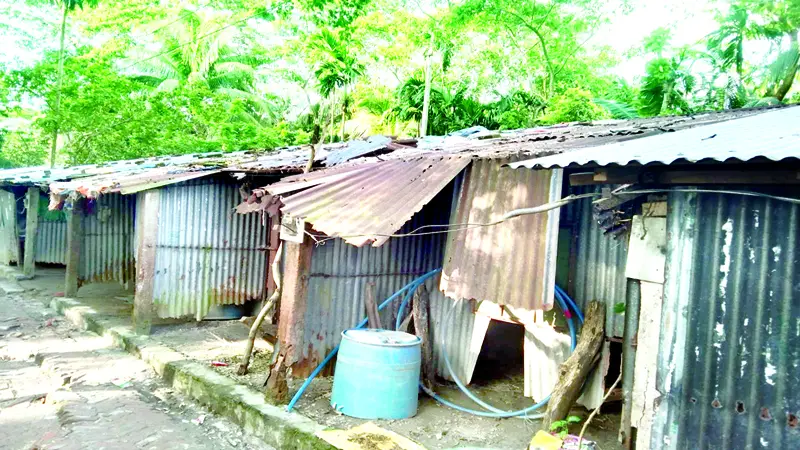 লালমোহনে আবাসনের ব্যারাক জরাজীর্ণ লালমোহনে আবাসনের ব্যারাক জরাজীর্ণ