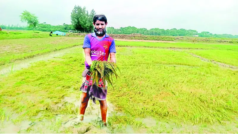 আদমদীঘিতে ছয় গ্রামে জলাবদ্ধতা আদমদীঘিতে ছয় গ্রামে জলাবদ্ধতা