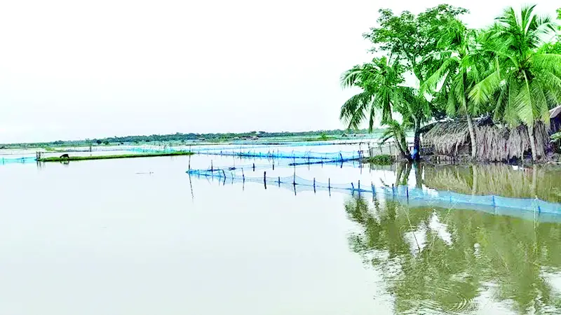 বাগেরহাটে ভেসে গেছে শত শত ঘের বাগেরহাটে ভেসে গেছে শত শত ঘের