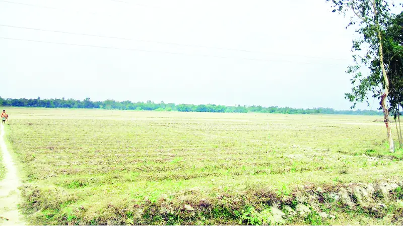 সীতাকুণ্ডে পাঁচ হাজার হেক্টর জমিতে হচ্ছে না বোরো চাষ সীতাকুণ্ডে পাঁচ হাজার হেক্টর জমিতে হচ্ছে না বোরো চাষ