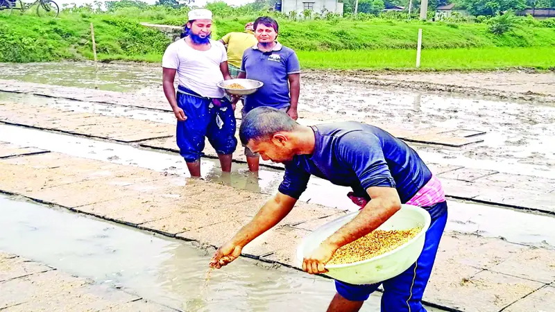 কৃষিতে প্রযুক্তির ছোঁয়া কৃষিতে প্রযুক্তির ছোঁয়া